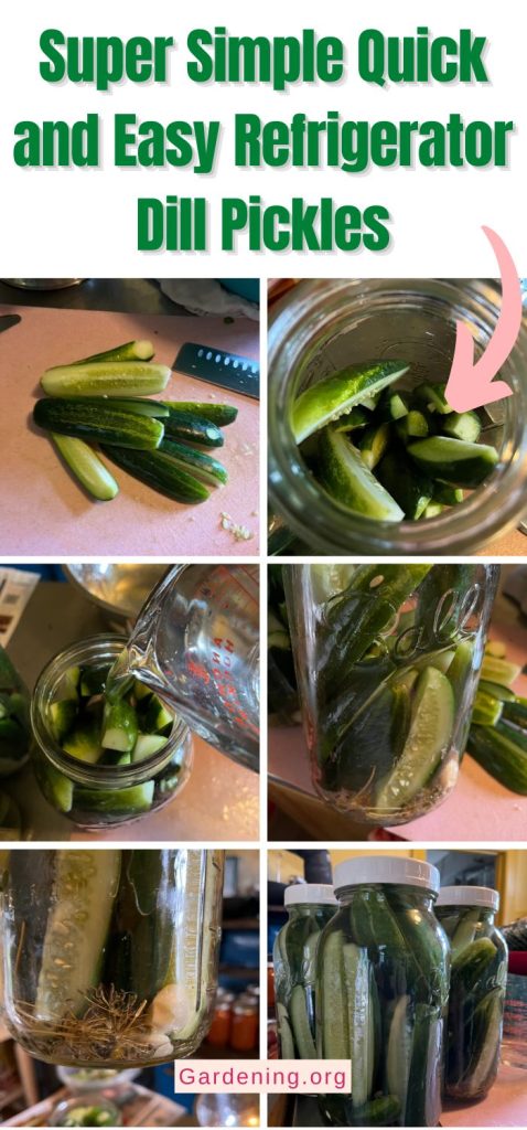 Super Simple Quick and Easy Refrigerator Dill Pickles pinterest image.