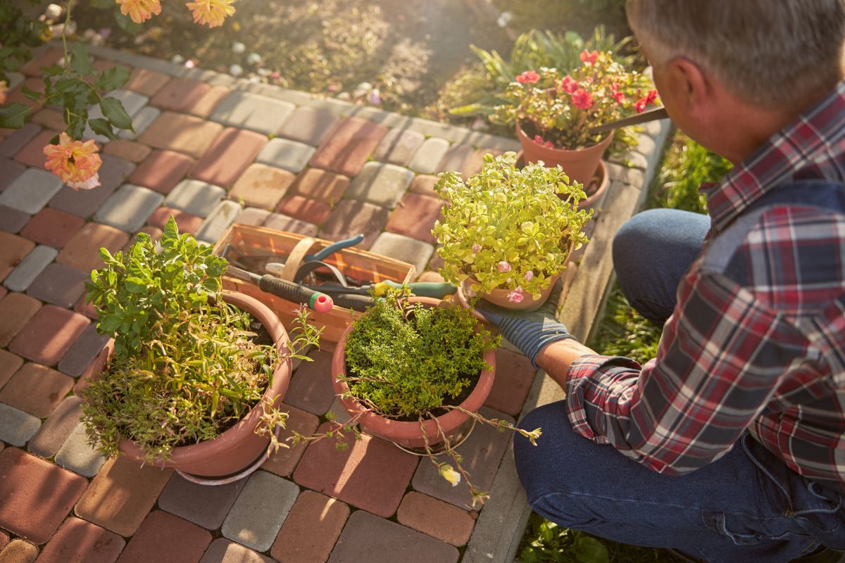 A person repotting plants to move indoors for the winter