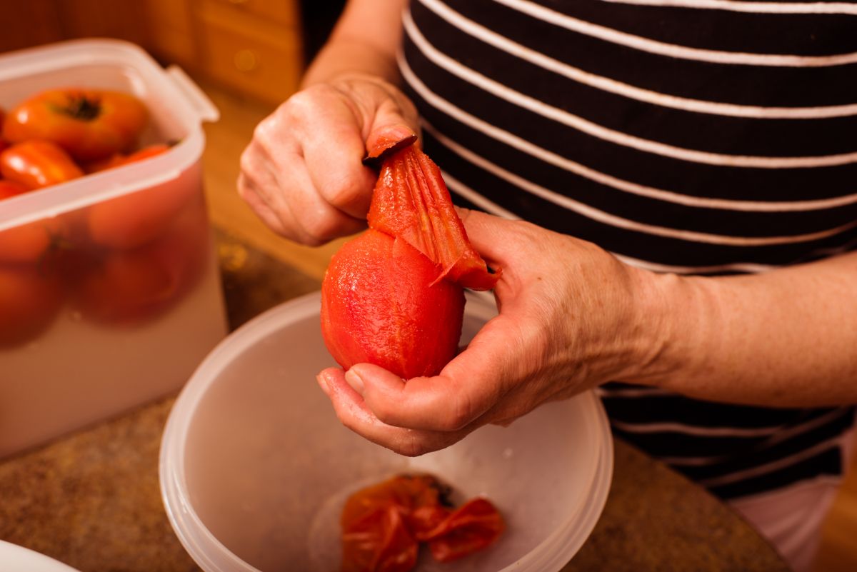 A home canner peels a large tomato for canning