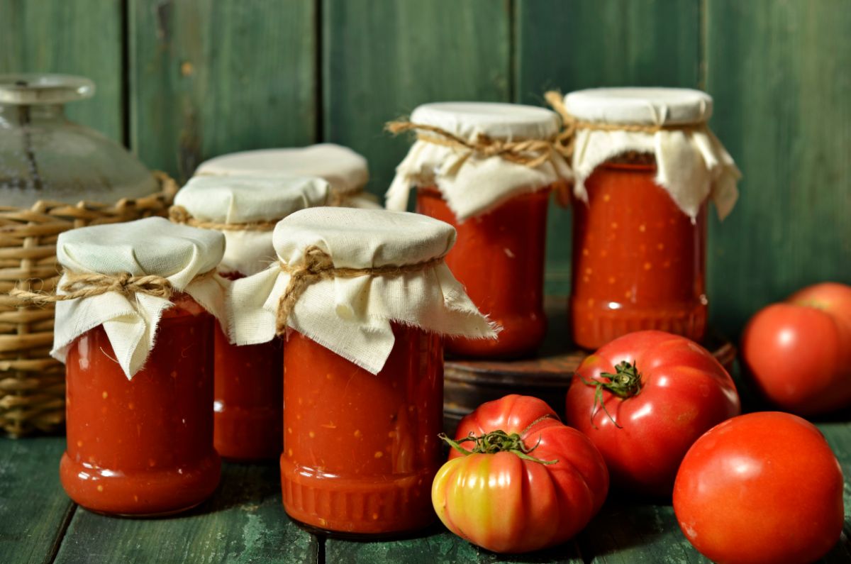 Fresh garden tomatoes site on a table next to jars of canned tomato sauce