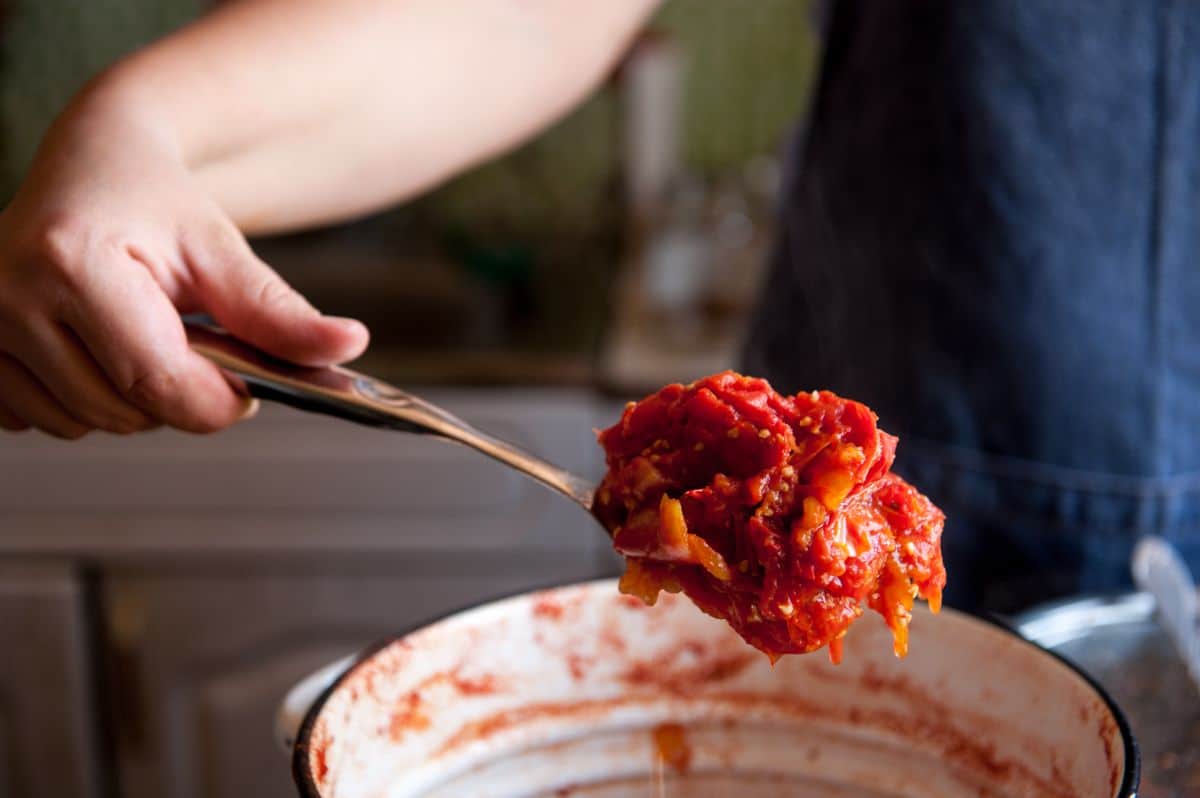 A canned lifts a spoon of tomato skins and pulp left from canning
