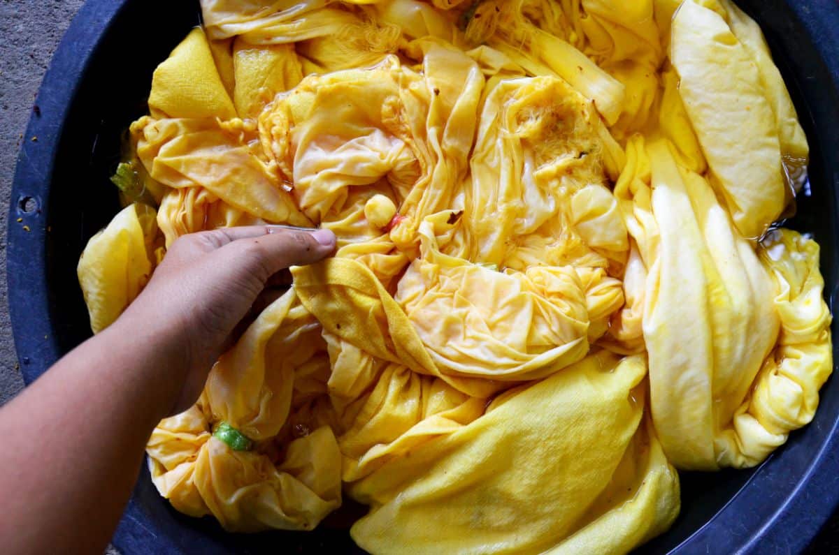 A buckets sits with cloth being dyed yellow from backyard weeds