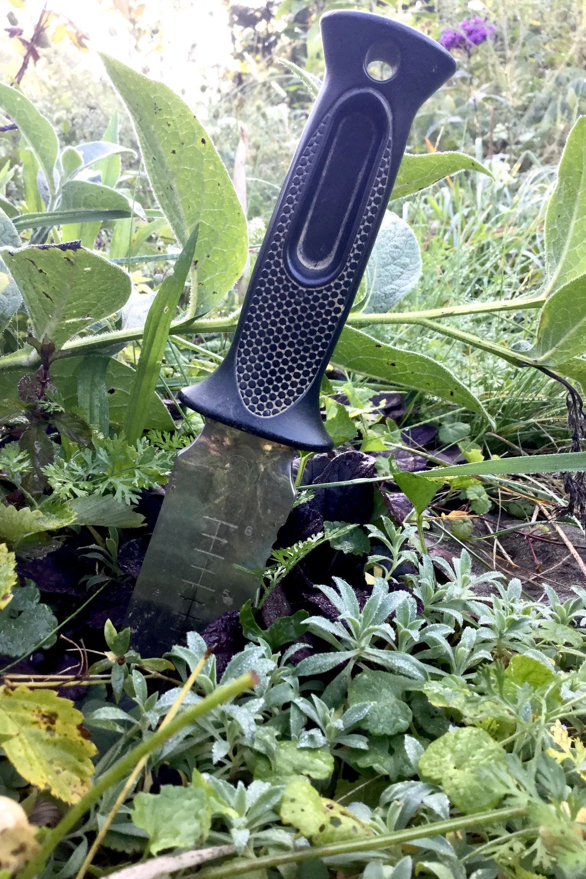 Japanese hori hori knives are extremely useful garden tools
