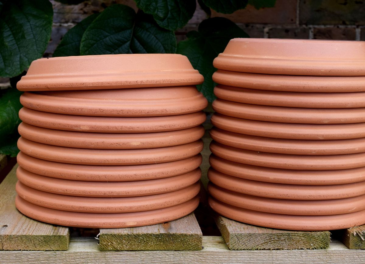 Terracotta pot saucers used for pebble trays