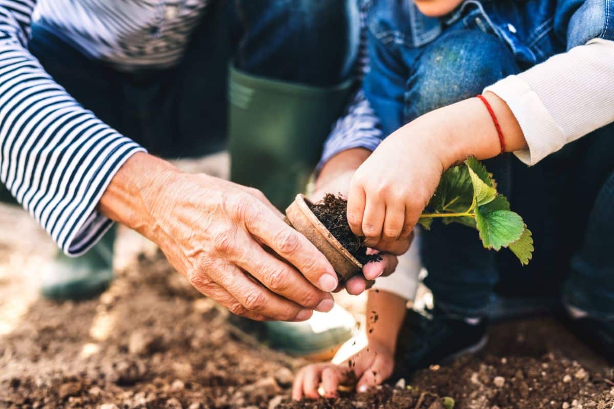 A gardener getting help from an expert mentor