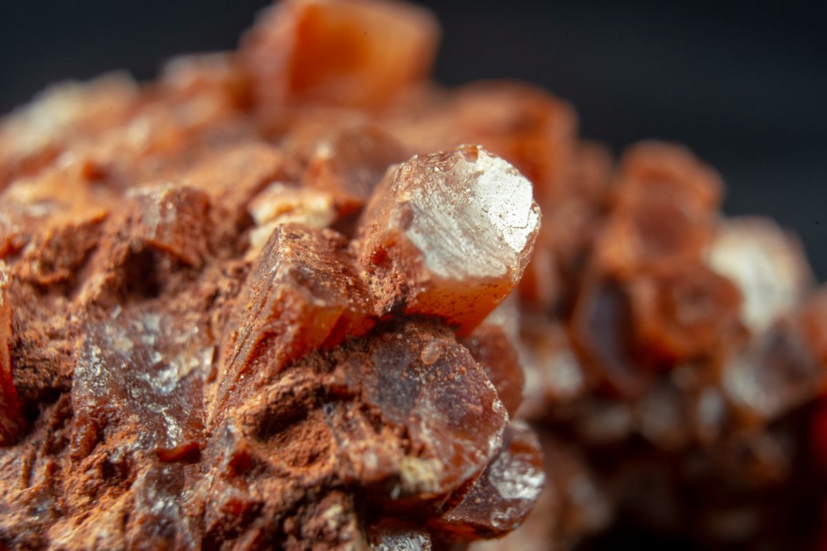 Aragonite provides calcium similar to lime