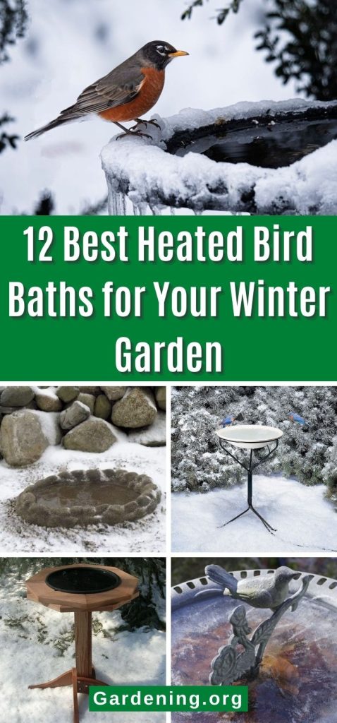 12 Best Heated Bird Baths for Your Winter Garden pinterest image.