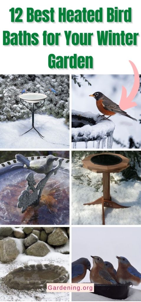12 Best Heated Bird Baths for Your Winter Garden pinterest image.