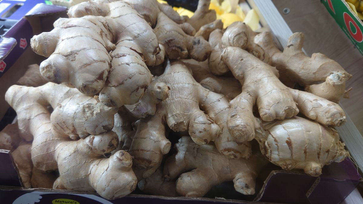 A box of prepped ginger ready for cold storage