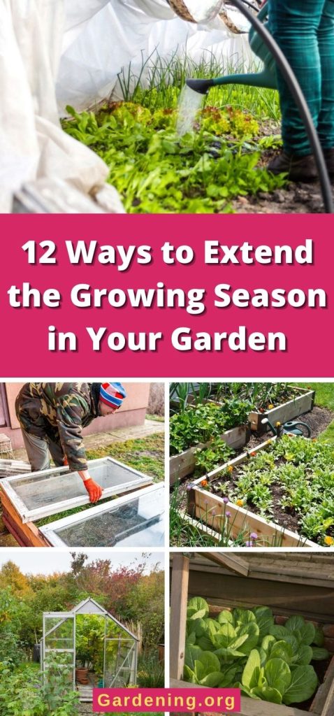 12 Ways to Extend the Growing Season in Your Garden pinterest image.