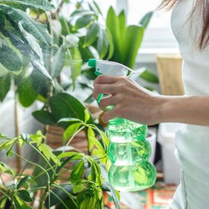 A young woman spraying plants growing in pots.