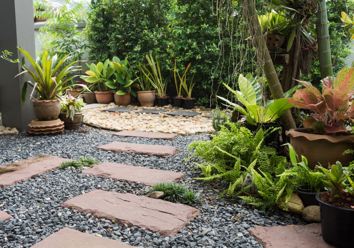 Plants accent a rock garden and walkway