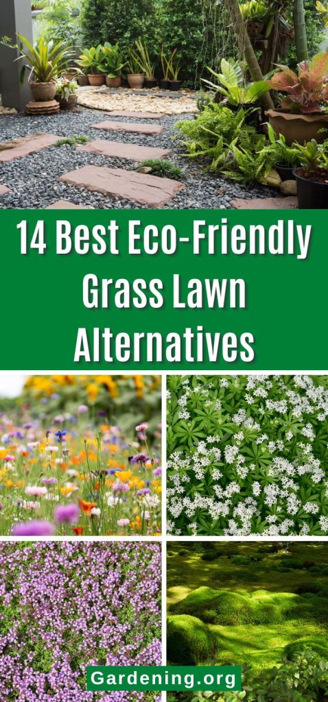 14 Best Eco-Friendly Grass Lawn Alternatives pinterest image.