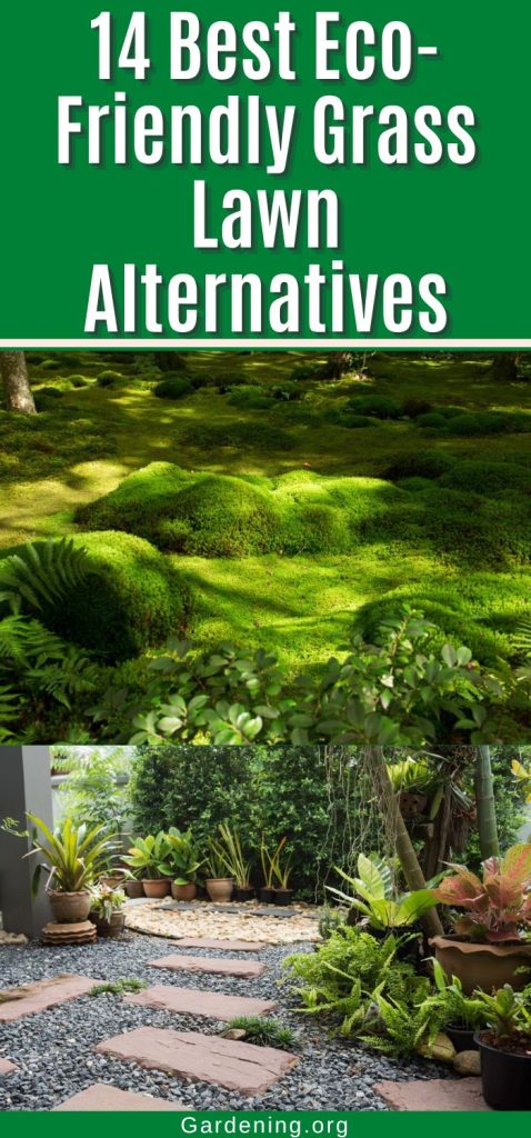 14 Best Eco-Friendly Grass Lawn Alternatives pinterest image.