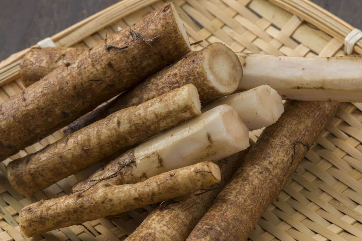 Pieces of peeled burdock root, and edible "weed"