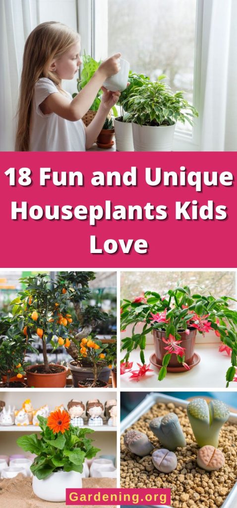 18 Fun and Unique Houseplants Kids Love pinterest image.