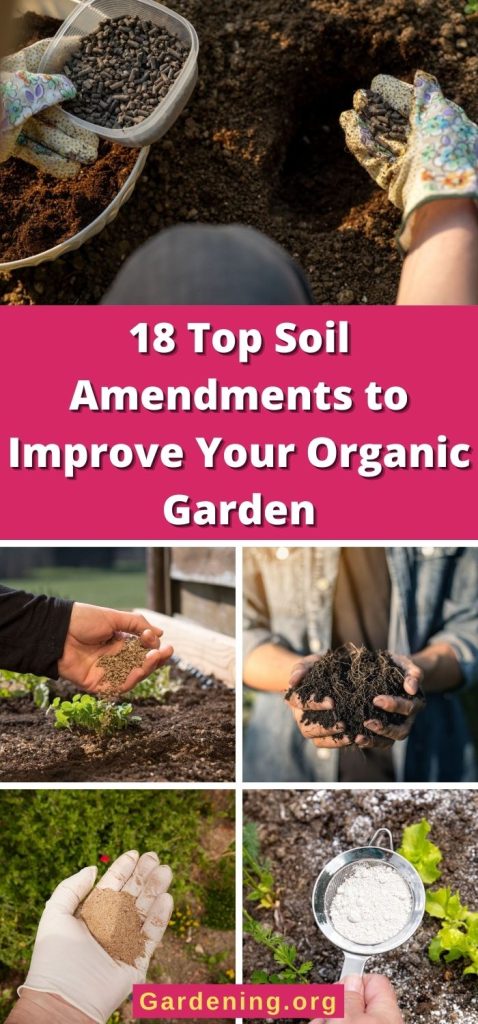 18 Top Soil Amendments to Improve Your Organic Garden pinterest image.