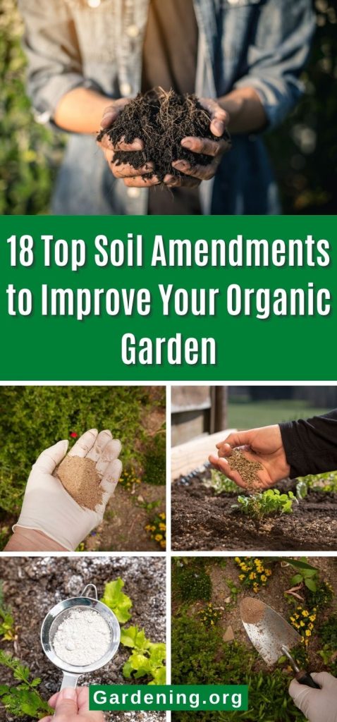 18 Top Soil Amendments to Improve Your Organic Garden pinterest image.
