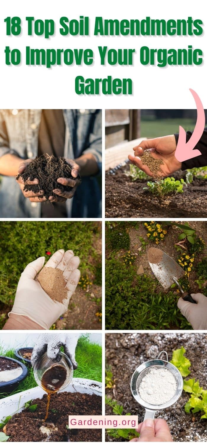 18 Top Soil Amendments to Improve Your Organic Garden