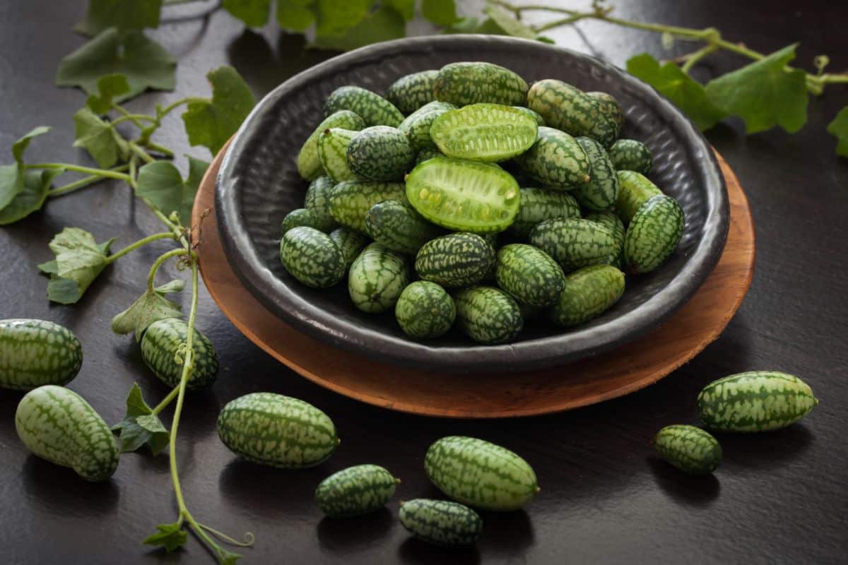 Bite-sized cucamelons aka Mexican Sour Gherkins