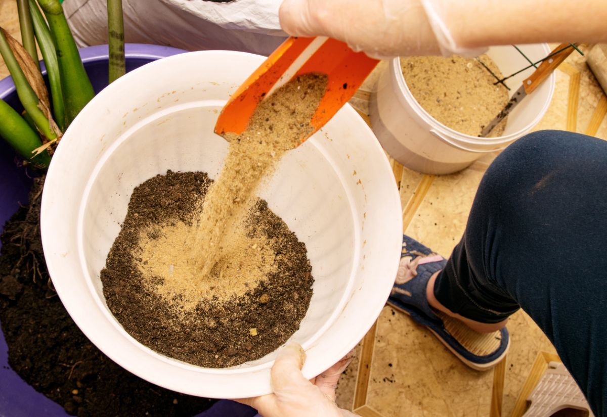 Sand on potting soil makes it hard for gnats to propagate
