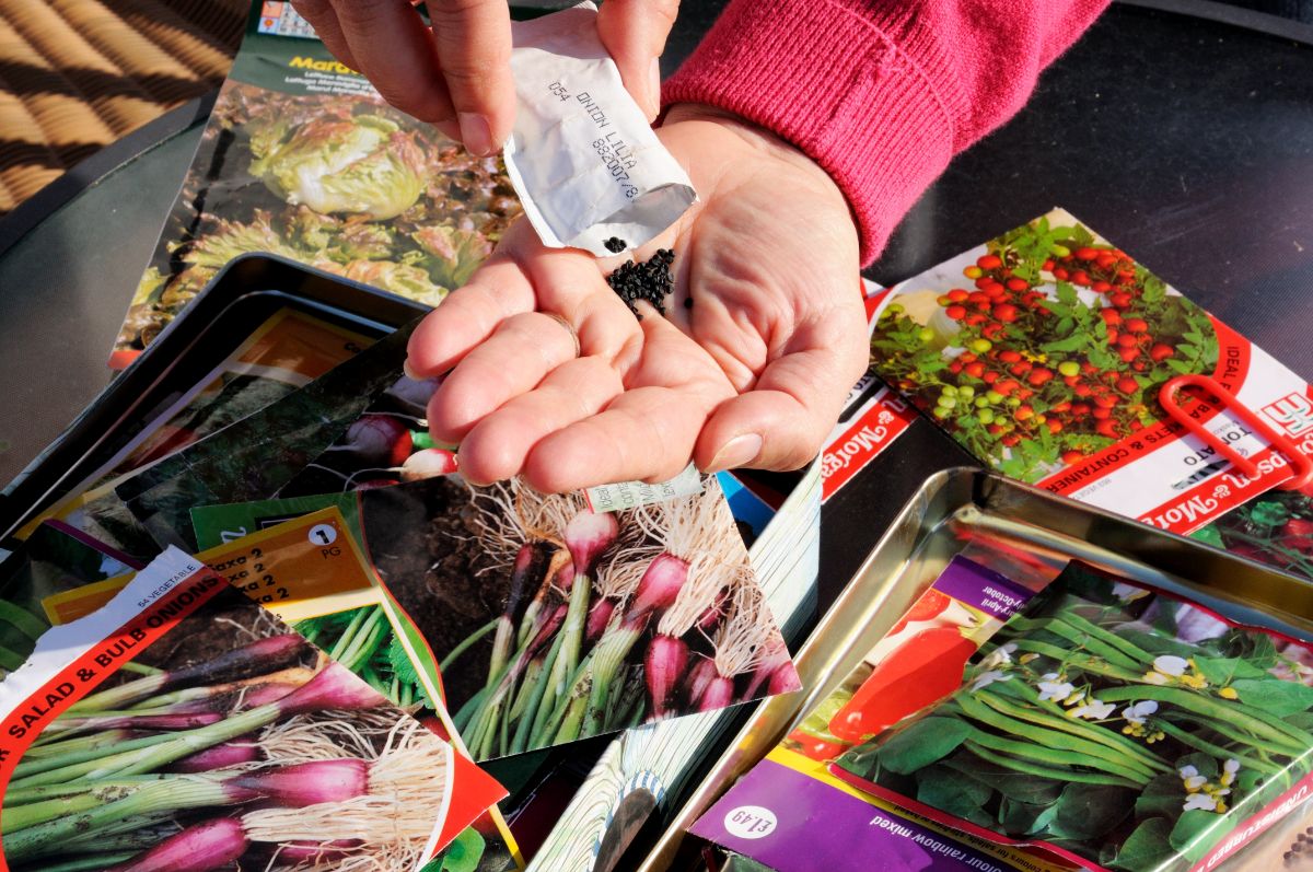 A gardener pouring seeds into her hand 