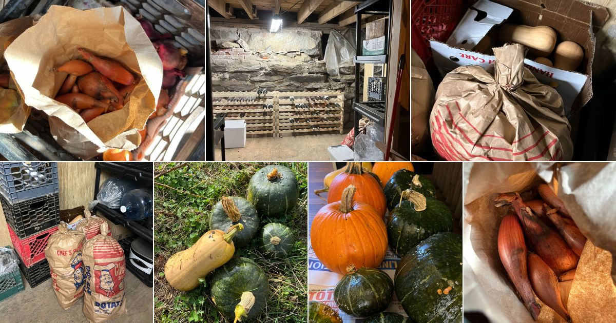 Collage of a cold storage room and vegetables for cold storage
