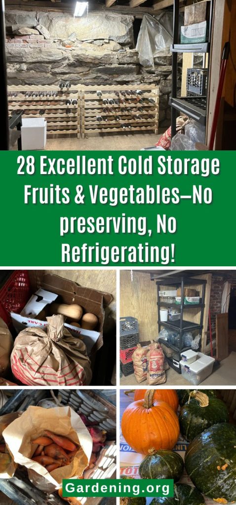 28 Excellent Cold Storage Fruits & Vegetables—No preserving, No Refrigerating! pinterest image.