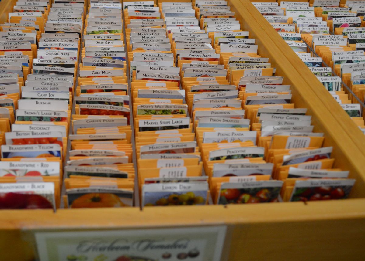 A box full of seed inventory