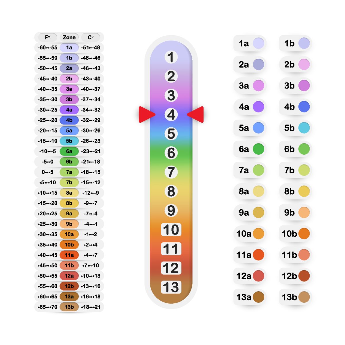 Graphic showing temperature ranges for different growing zones
