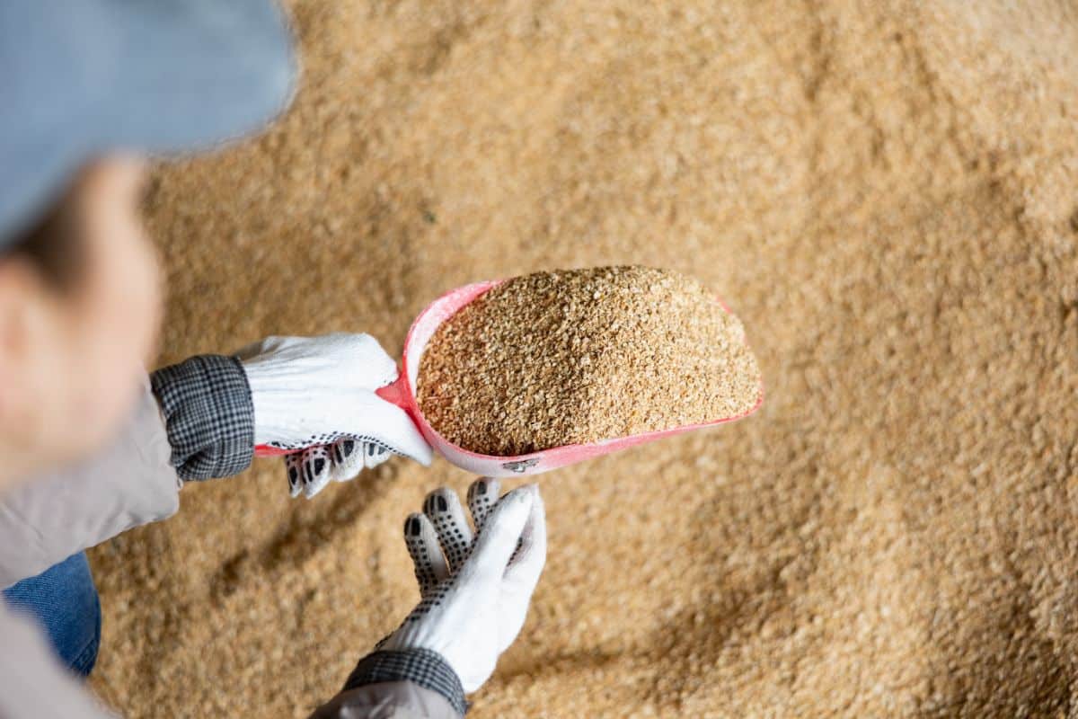 Soybean meal is a vegan option for soil amending