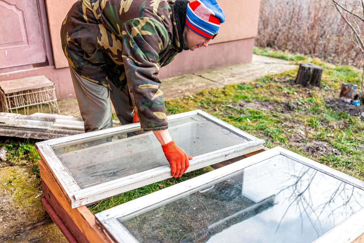 A gardener building a cold frame from old windows