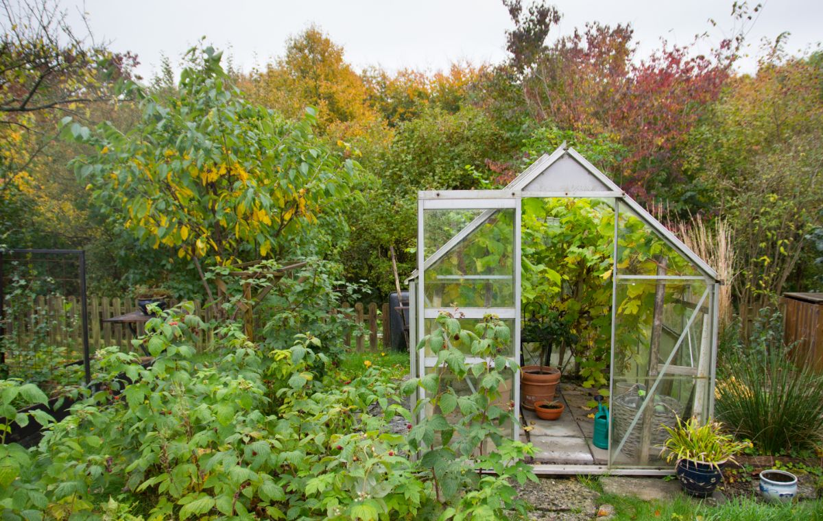 A garden greenhouse for seed starting and season extension