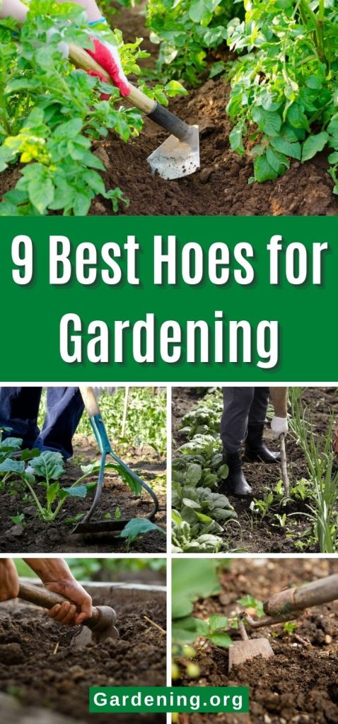 9 Best Hoes for Gardening pinterest image.
