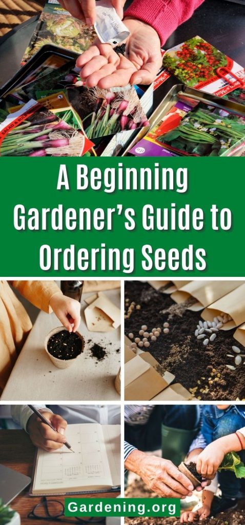A Beginning Gardener’s Guide to Ordering Seeds pinterest image.