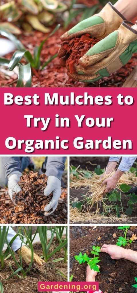 Best Mulches to Try in Your Organic Garden pinterest image.