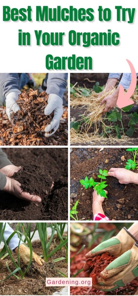 Best Mulches to Try in Your Organic Garden pinterest image.