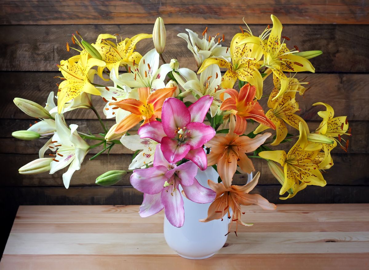 Lilies arranged in a vase show a variety of type, shape, and color