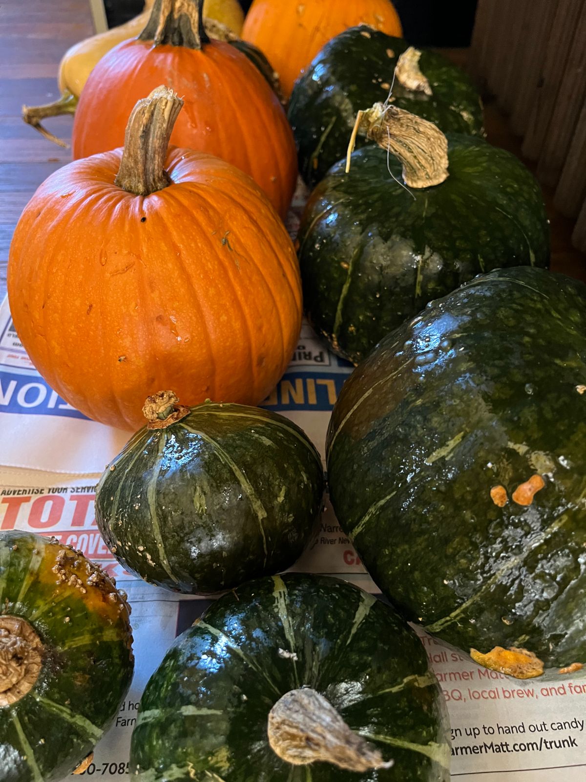 Winter squash ready for cold storage