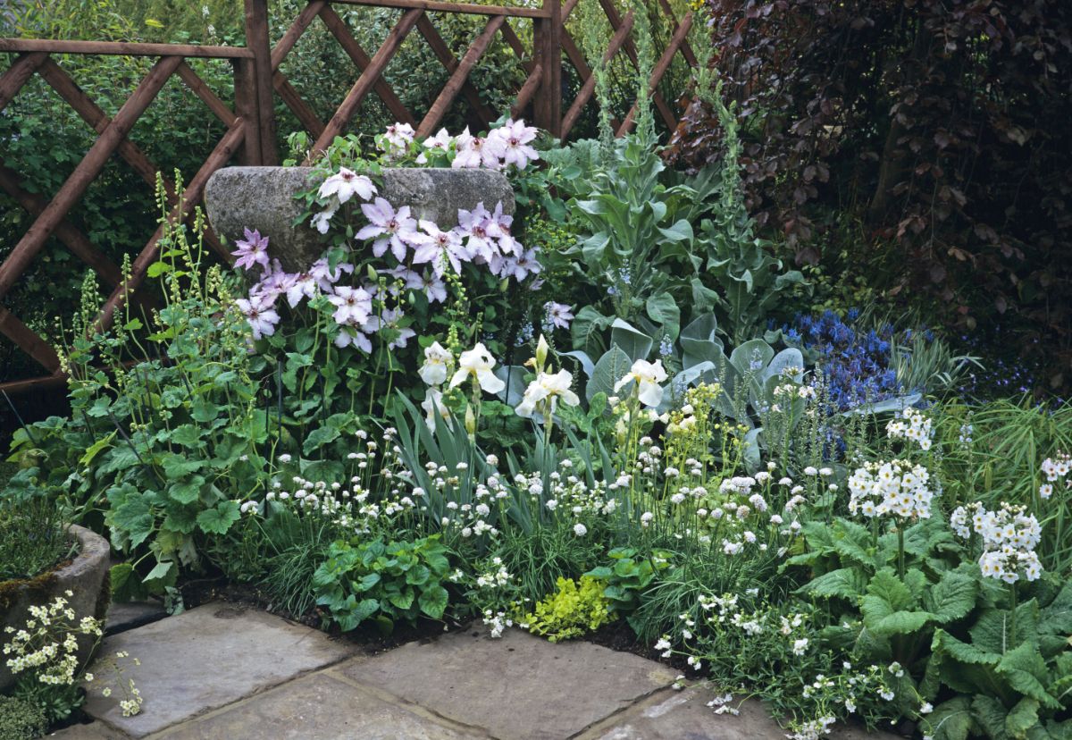 A moon garden features combinations of plants in white and silver tones with strong fragrances