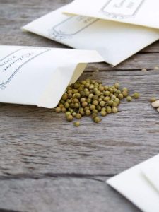 cropped-1-seeds-for-planting.jpg