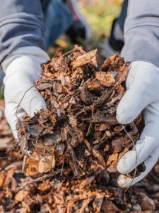 cropped-hands-holding-mulch.jpg