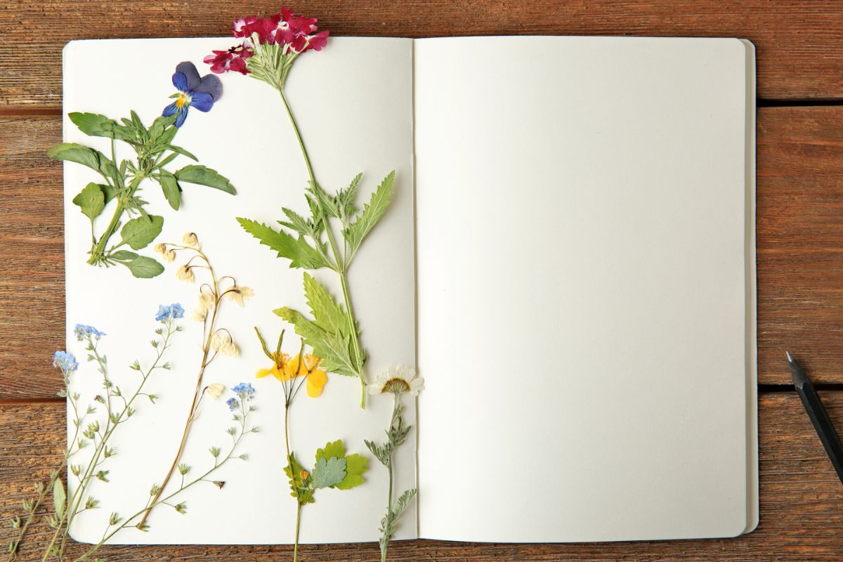 Certain flowers retain color and shape better when pressed