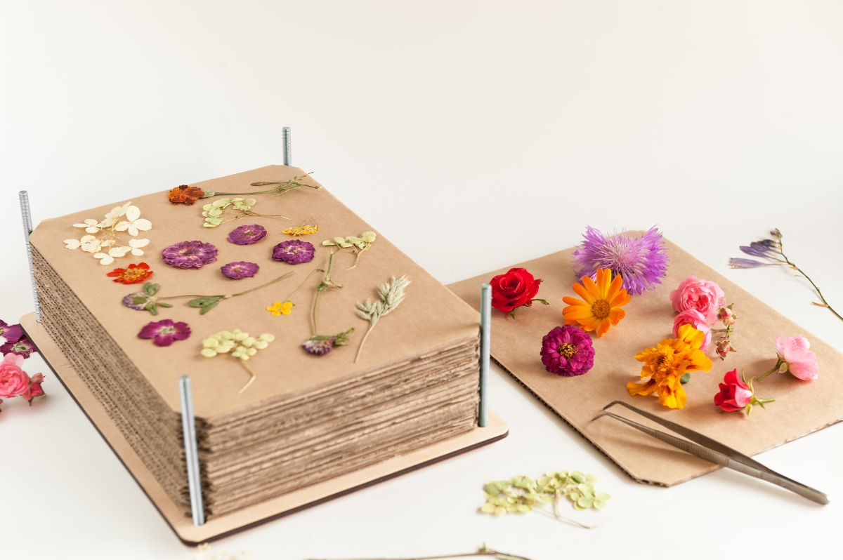 A homemade DIY flower press shows nicely pressed flowers
