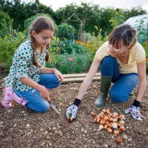 Mother and daughter planting bulbs in a backyard garden.