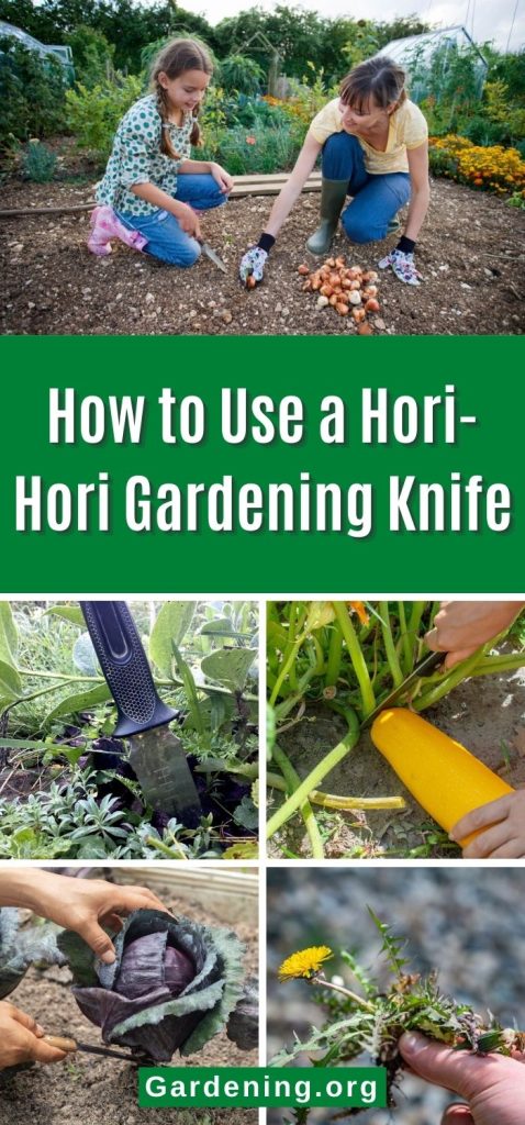 How to Use a Hori-Hori Gardening Knife pinterest image.