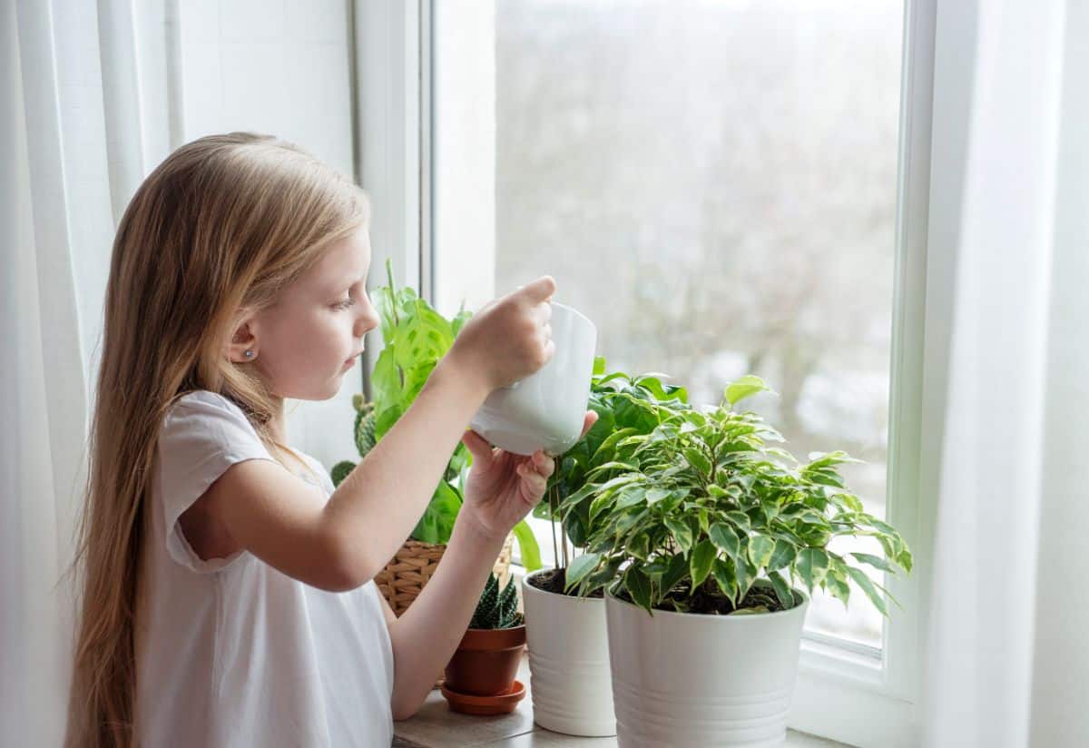 A young girl takes responsibility for caring for her plants