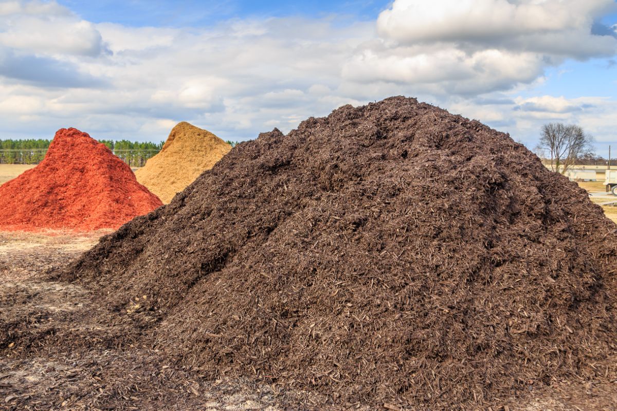 Piles of colored garden mulches