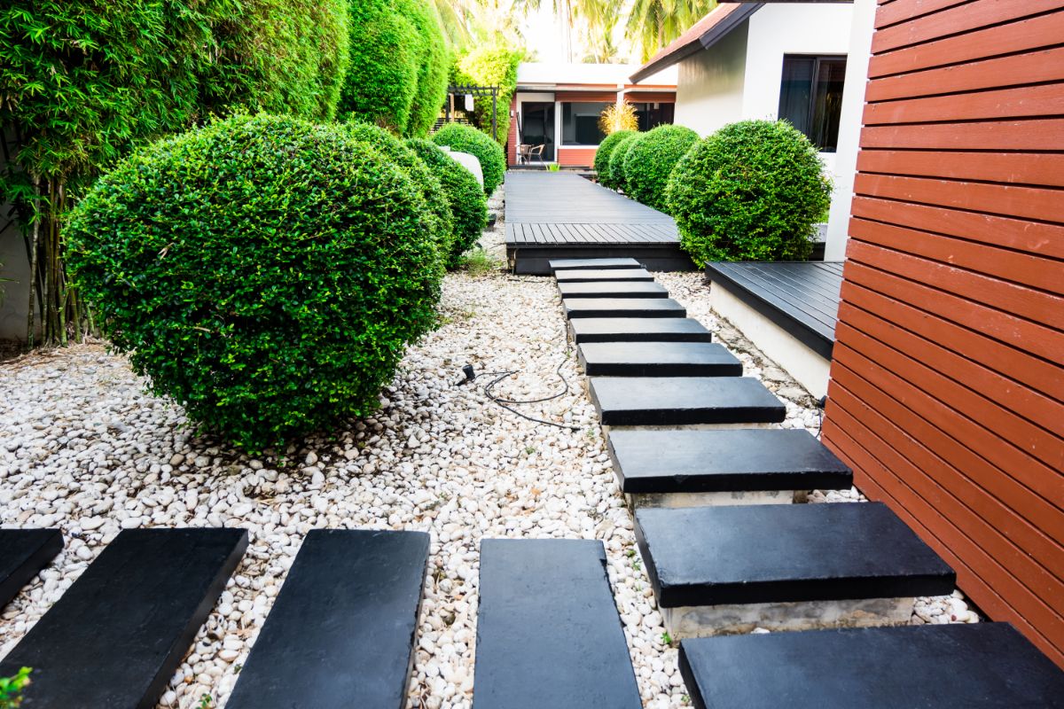 A hardscaped lawn alternative with boxwood bushes