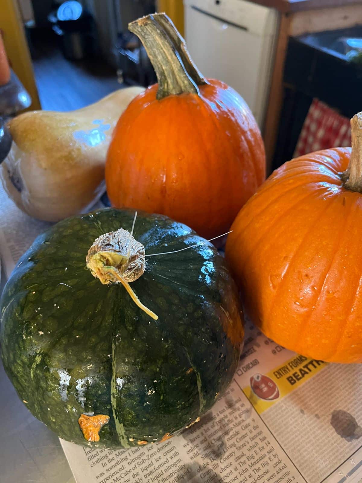 Cleaned winter squash stored in a cool area of a house